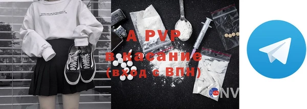 стаф Киренск