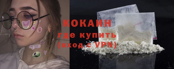 стаф Киренск