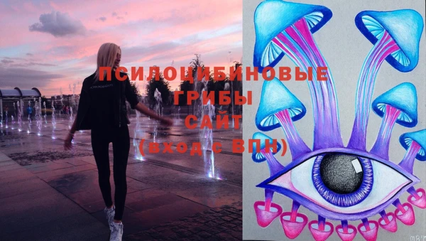 стаф Киренск