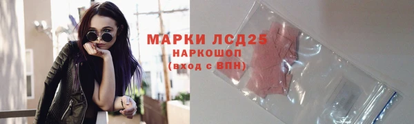 стаф Киренск