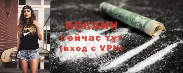 стаф Киренск