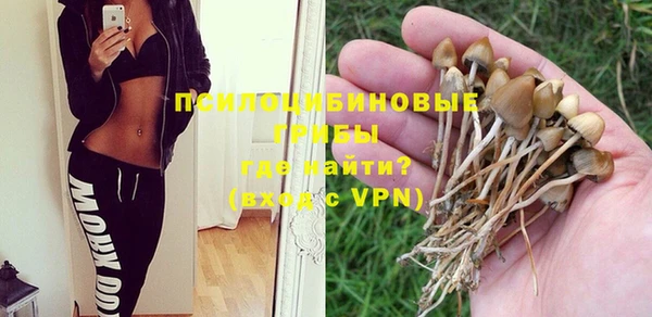 a pvp Киреевск