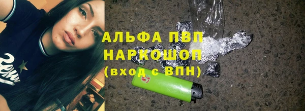 сатива Кинешма