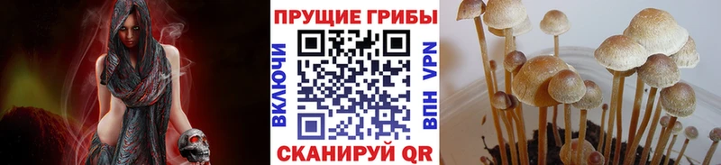 Псилоцибиновые грибы ЛСД  Купить где  Кимовск 